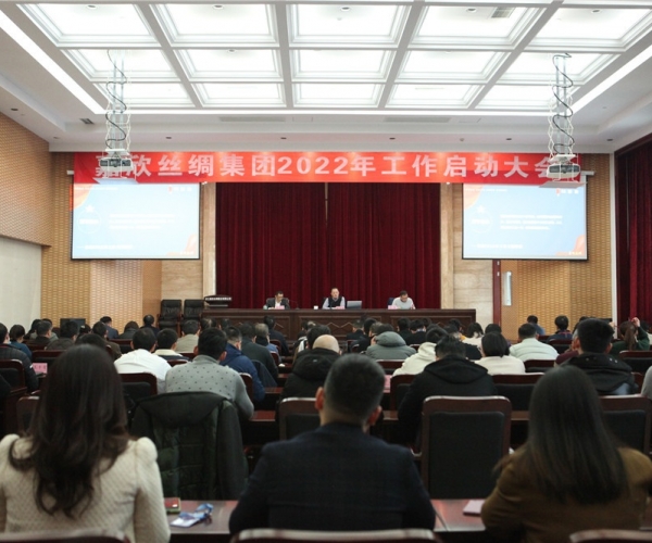 尊龙凯时人生就是搏丝绸集团召开2022年工作启动大会