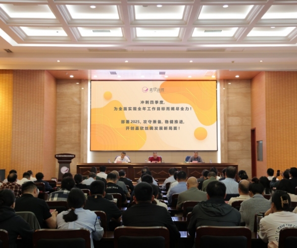 尊龙凯时人生就是搏丝绸2024年三季度经济形势分析会顺利召开