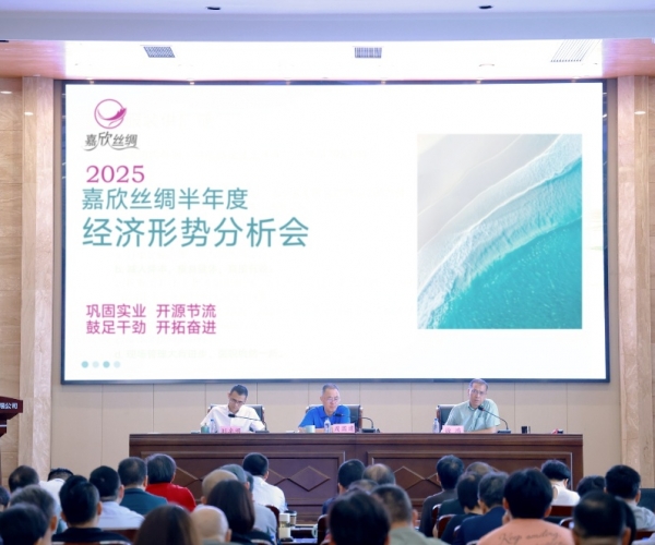 尊龙凯时人生就是搏丝绸2025半年度经济形势分析会顺利召开